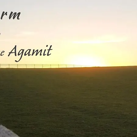 Agami T Dom wakacyjny